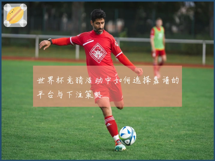 世界杯竞猜活动中如何选择靠谱的平台与下注策略