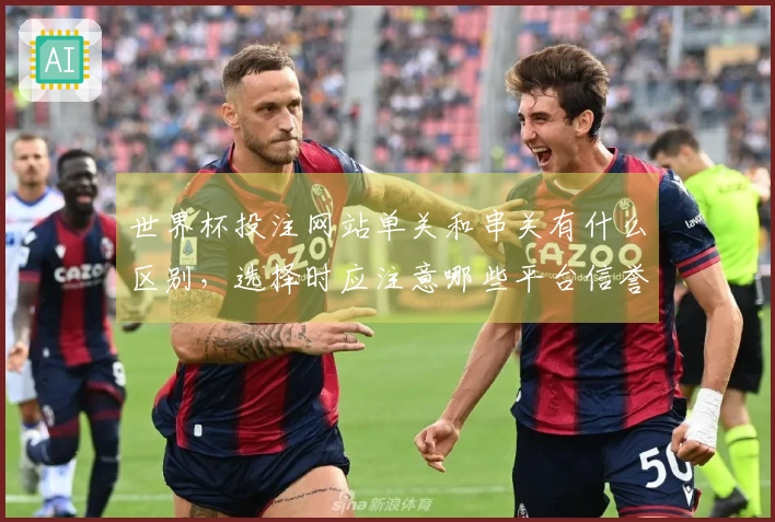 世界杯投注网站单关和串关有什么区别，选择时应注意哪些平台信誉？