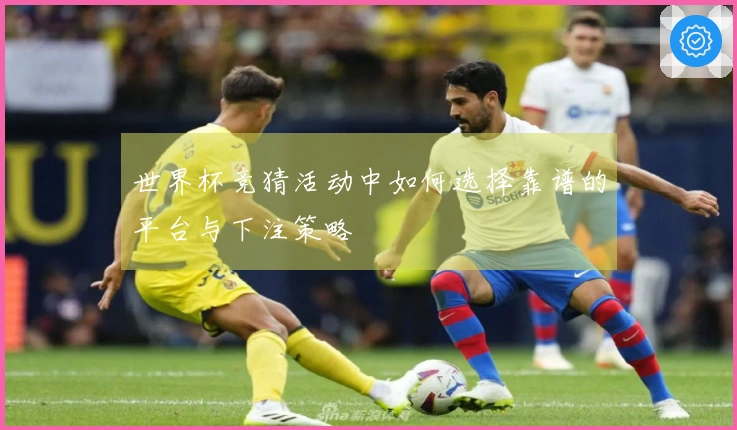 世界杯竞猜活动中如何选择靠谱的平台与下注策略